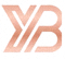 DG视讯官方网站Logo - 金色盾牌与皇冠组合标志